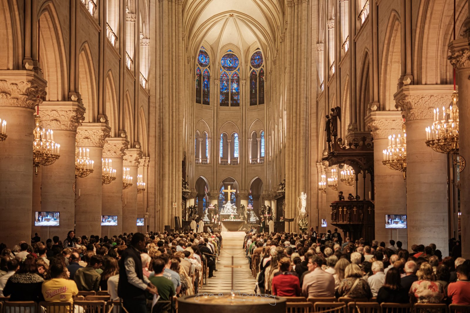 Cathédrale Notre-Dame de Paris